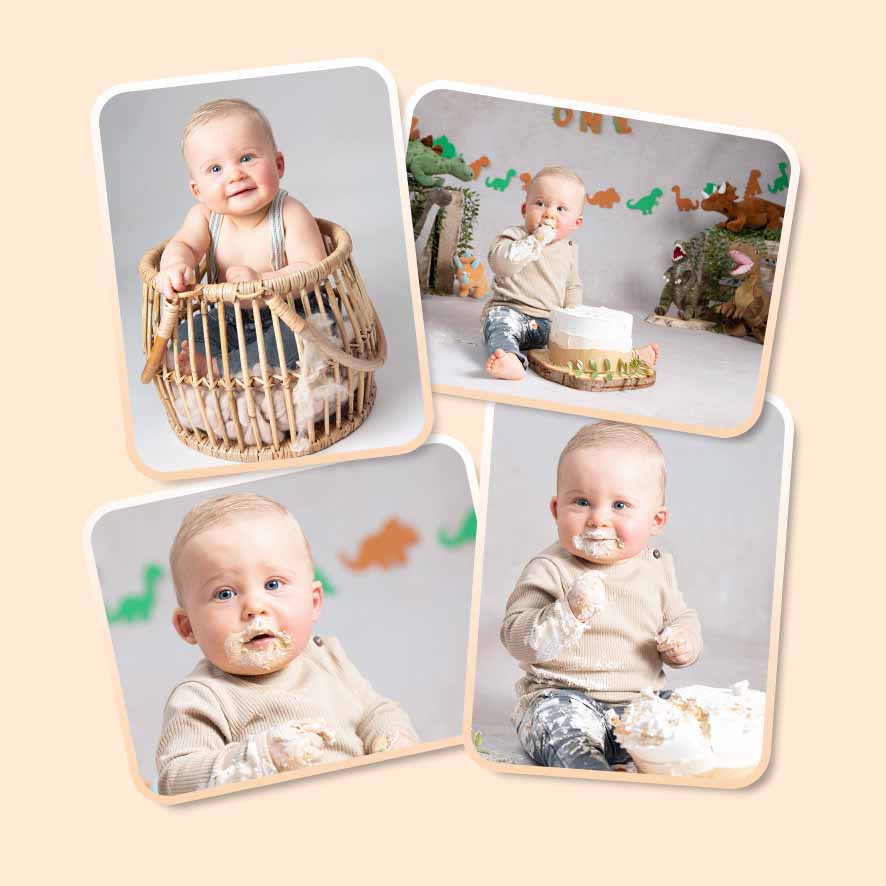 Website cakesmash dino laagjestaart